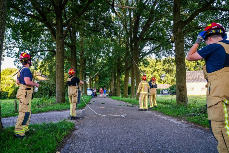 Brandweer verwijdert gevaarlijke boomtak