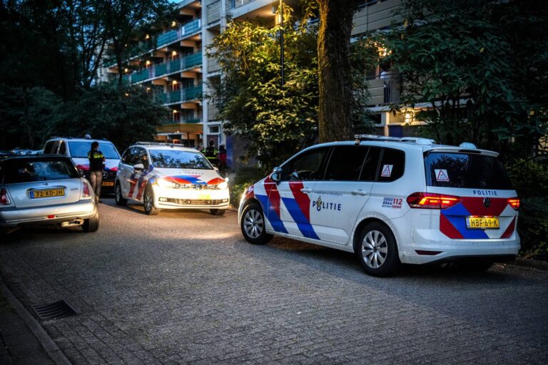 Vuurwapen gevonden in bosjes, één aangehouden