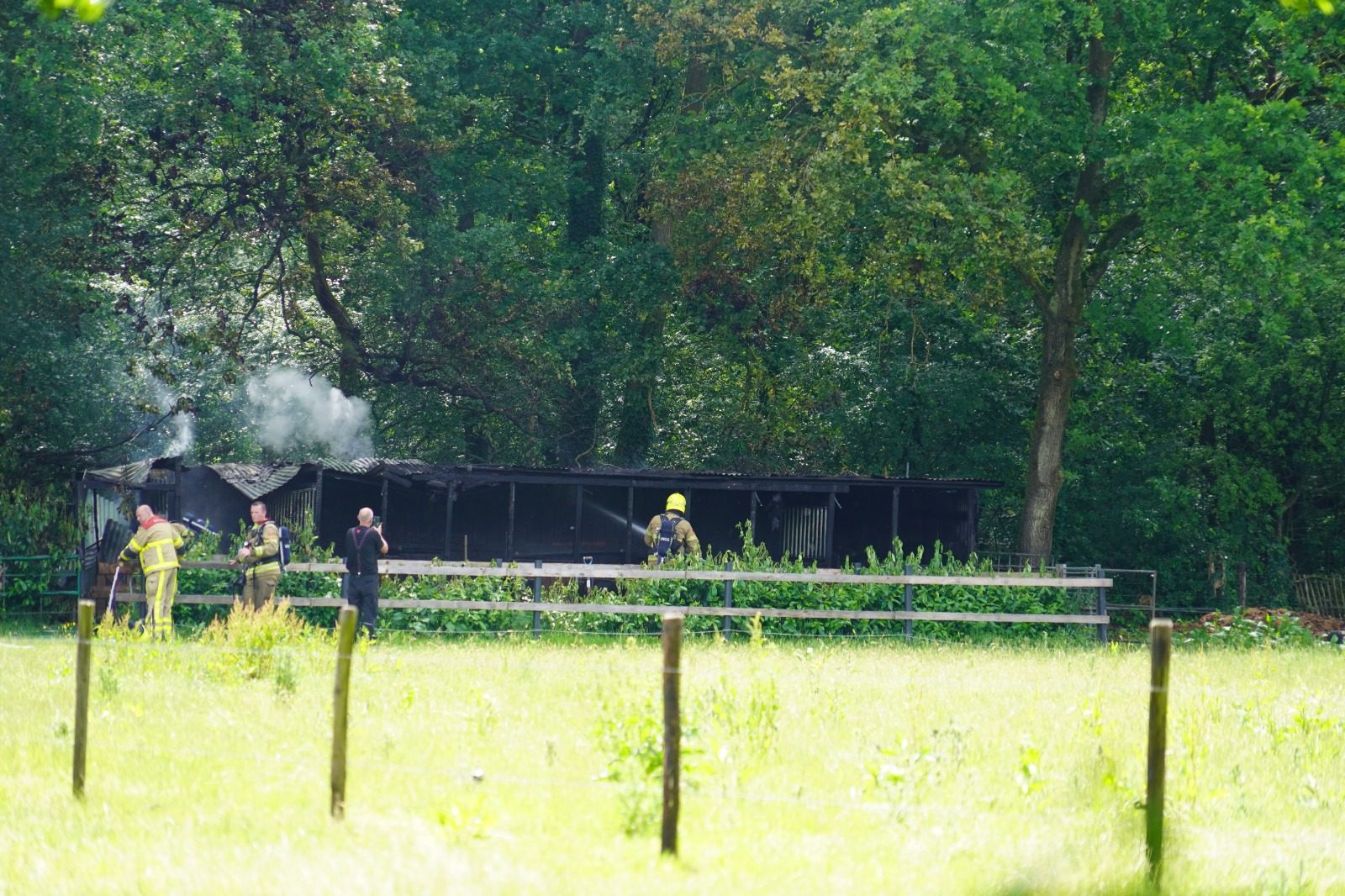 Paardenstal volledig verwoest door brand