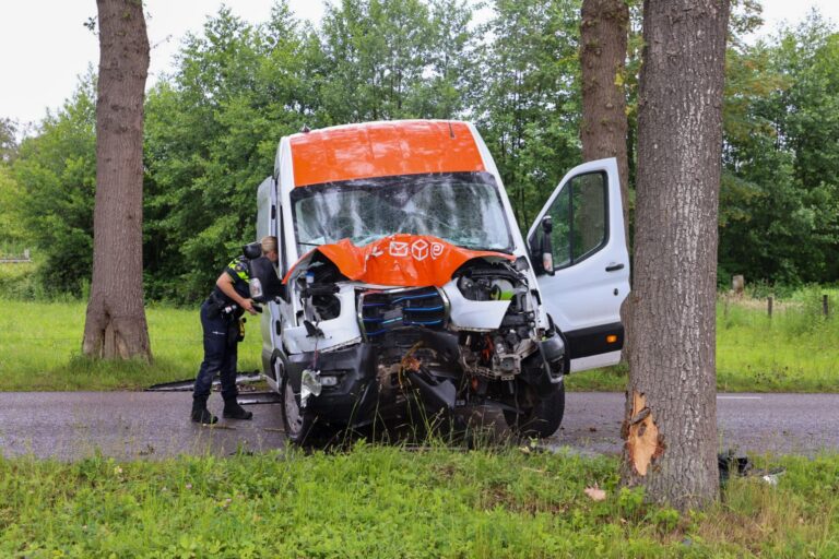 Bestelbus botst frontaal op boom, bestuurder gewond