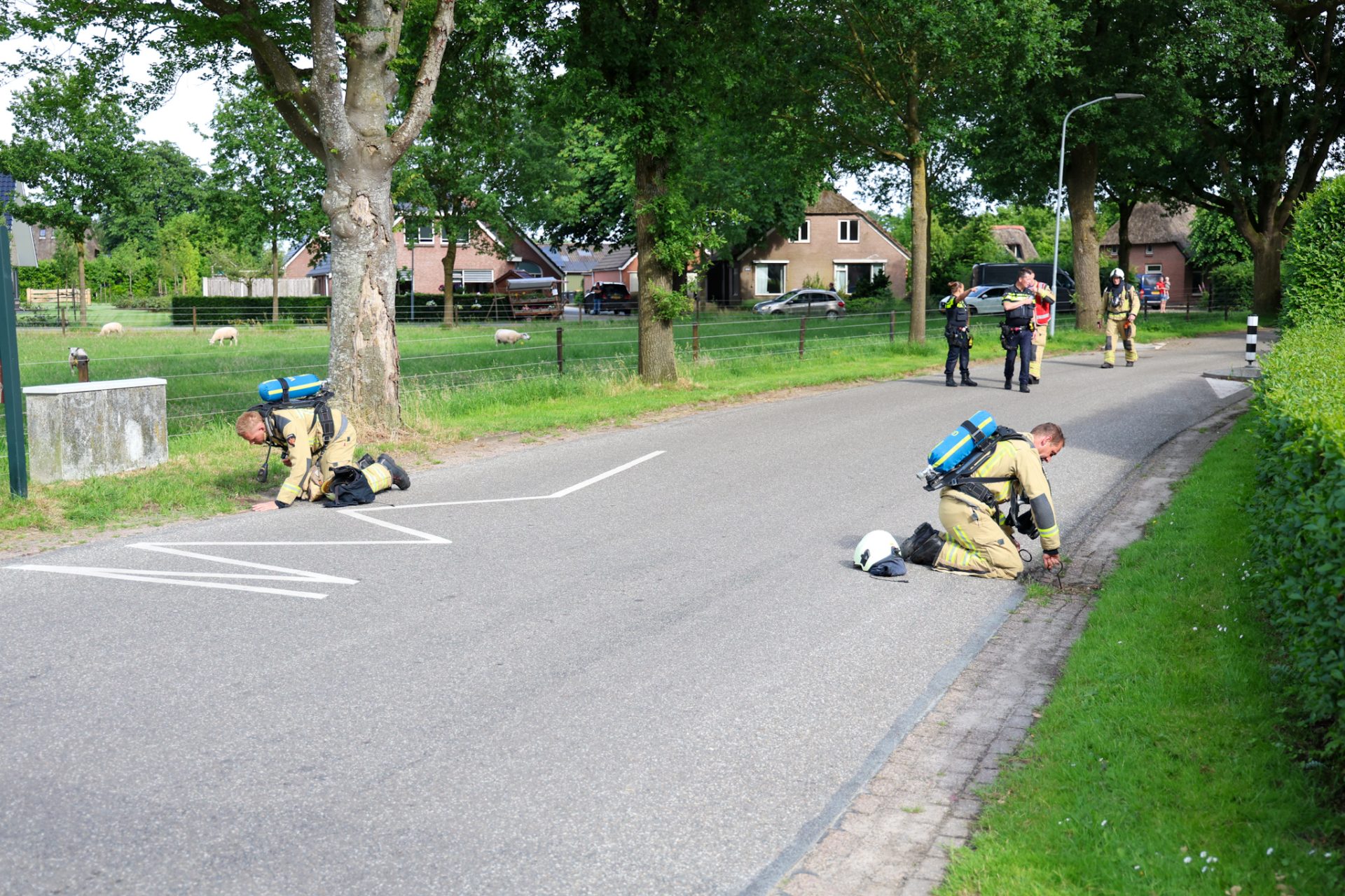a63a0117-5451-4f32-ac3d-9f12920ead4bjpeg - 112 Nederland