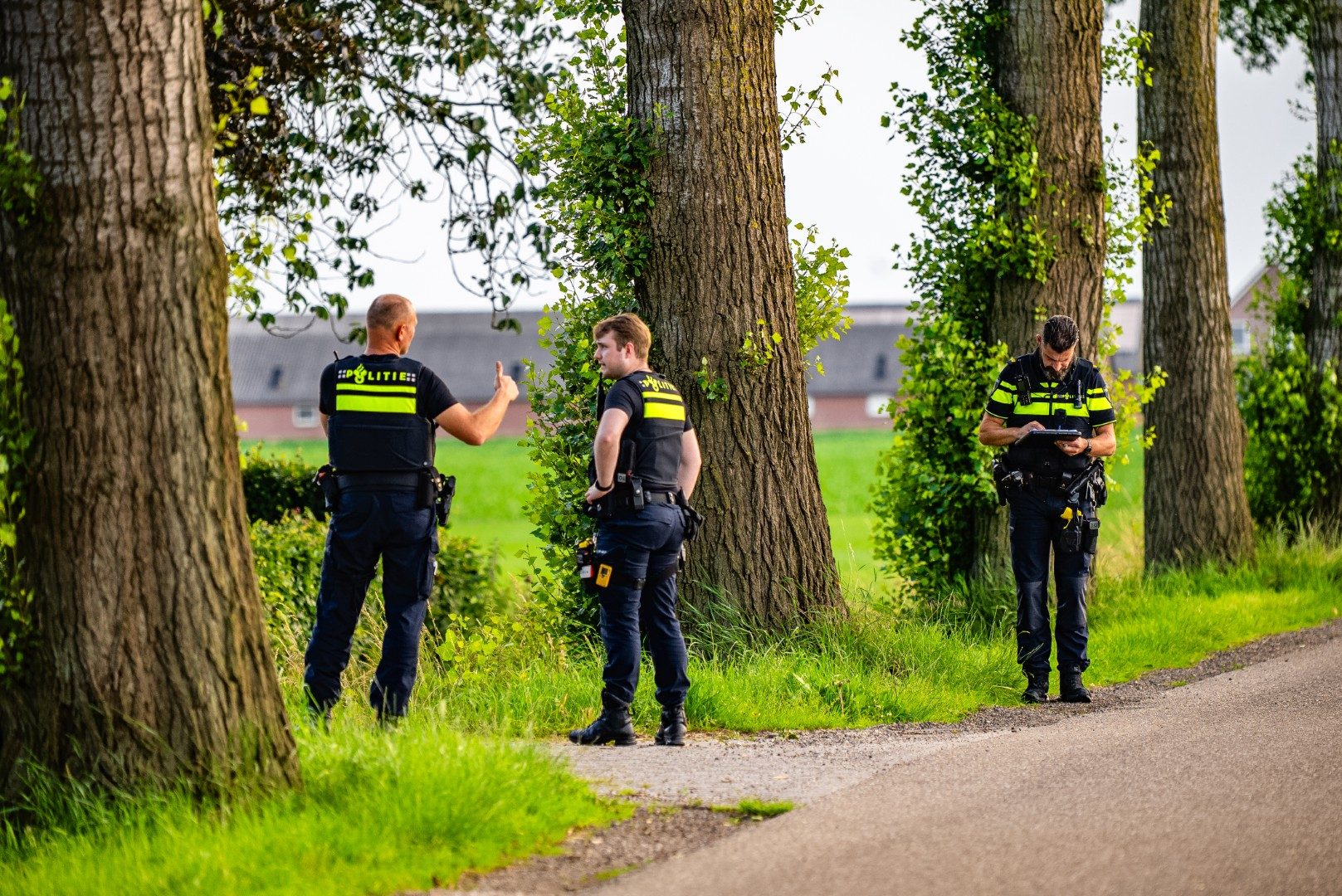 d9fb9ec9-d89a-4c02-9d0e-3b84a1453f11jpg-Groot - 112 Nederland