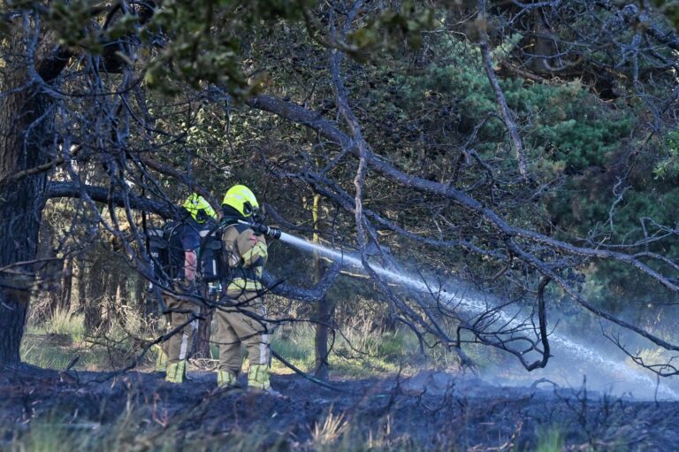 Brandweerlieden blussen flinke heidebrand