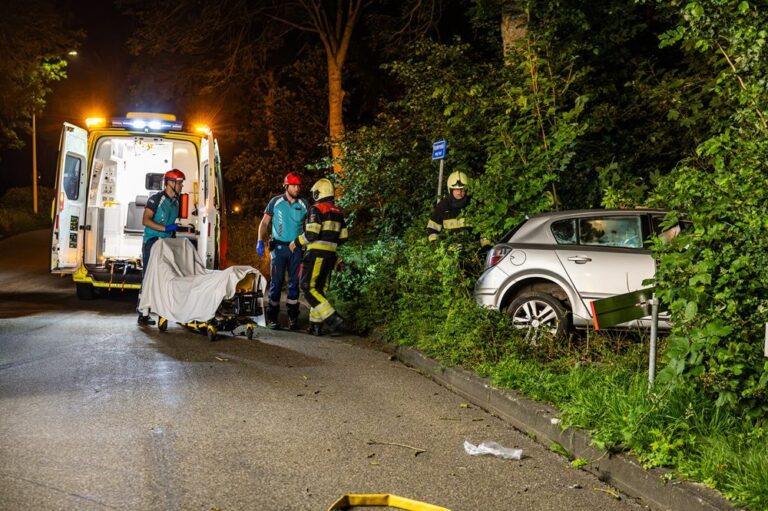 Automobilist overleden na botsing tegen boom