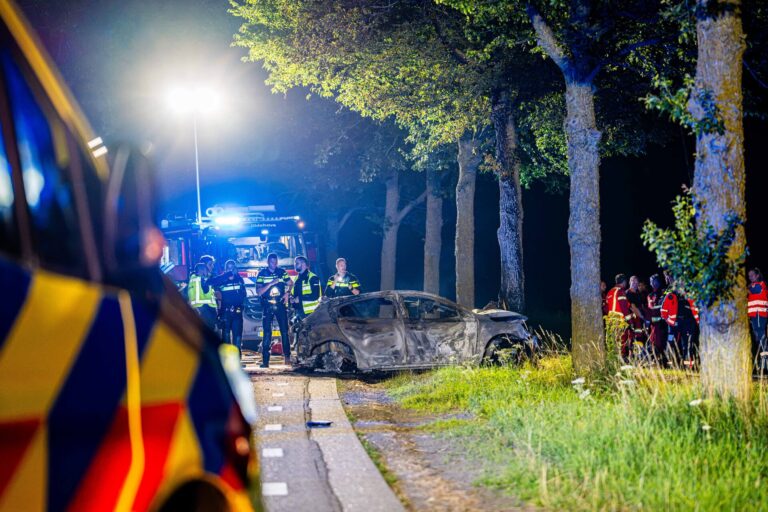 Auto vliegt tegen boom en staat direct in brand, meerdere doden