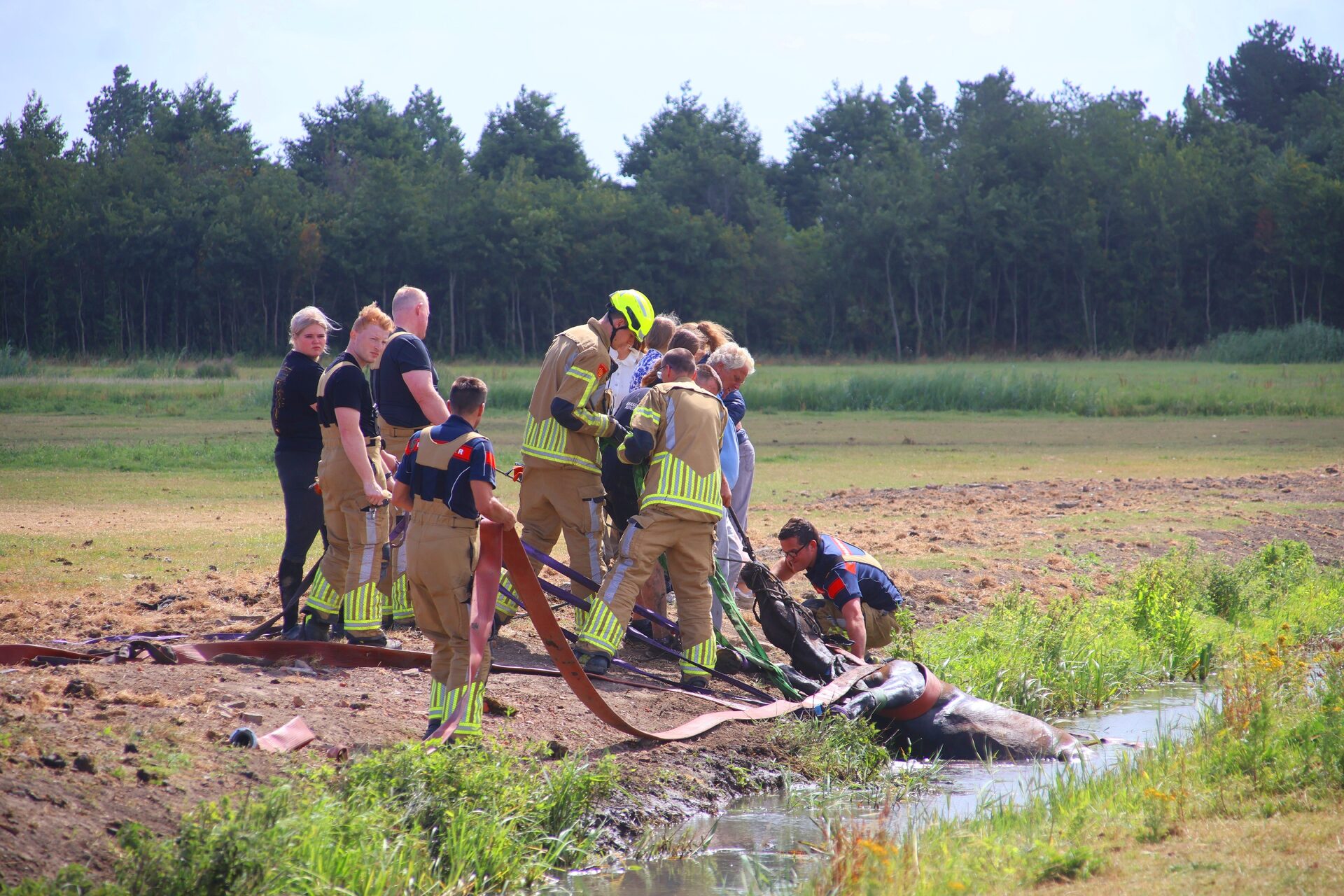 Paard belandt voor de tweede keer in sloot, reddingsactie duurt uren