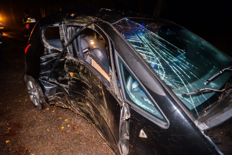 Automobilist gewond na botsing tegen boom
