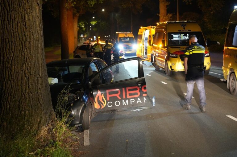 Auto botst tegen boom, drie inzittenden gewond