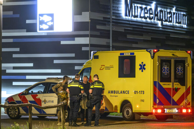 Massale inzet hulpdiensten voor twee jongens te water