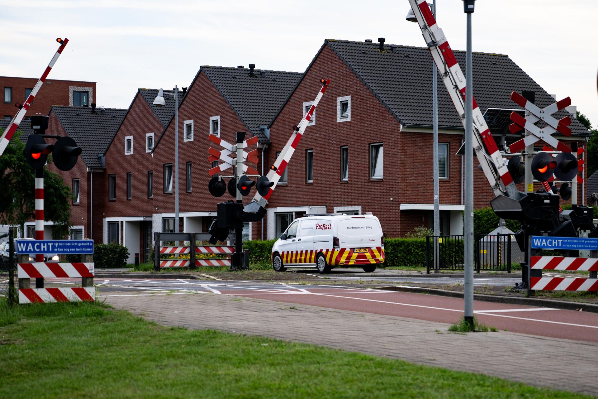 Spoor even dicht voor kittens: “Ik wil ze graag adopteren”