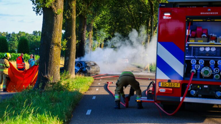 Verongelukte jongens (15) reden zonder toestemming in auto