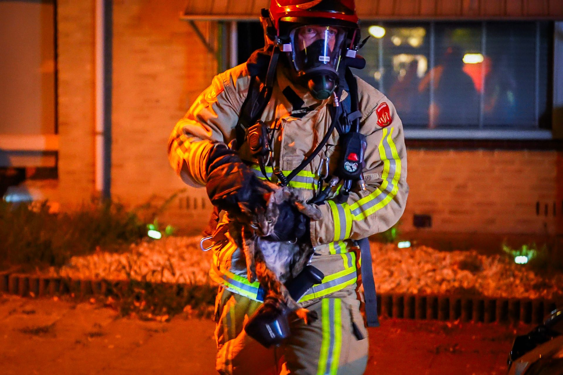 Brandweer redt katten tijdens felle brand in woning