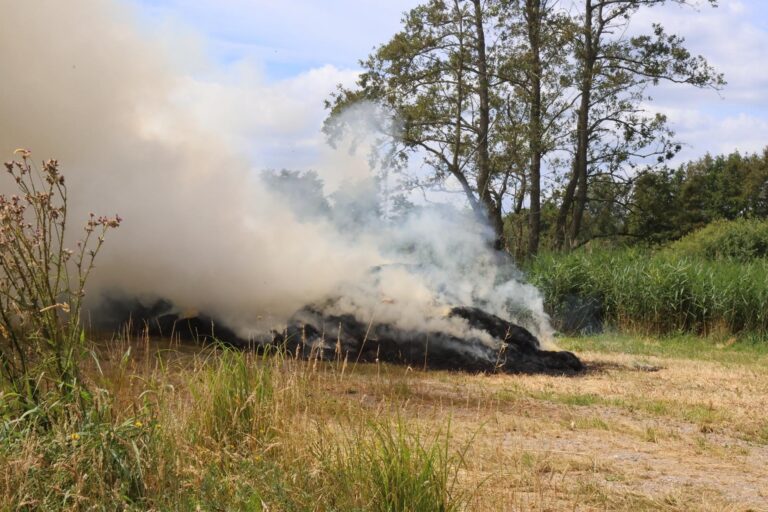 Middelbrand door broei in gemaaid gras
