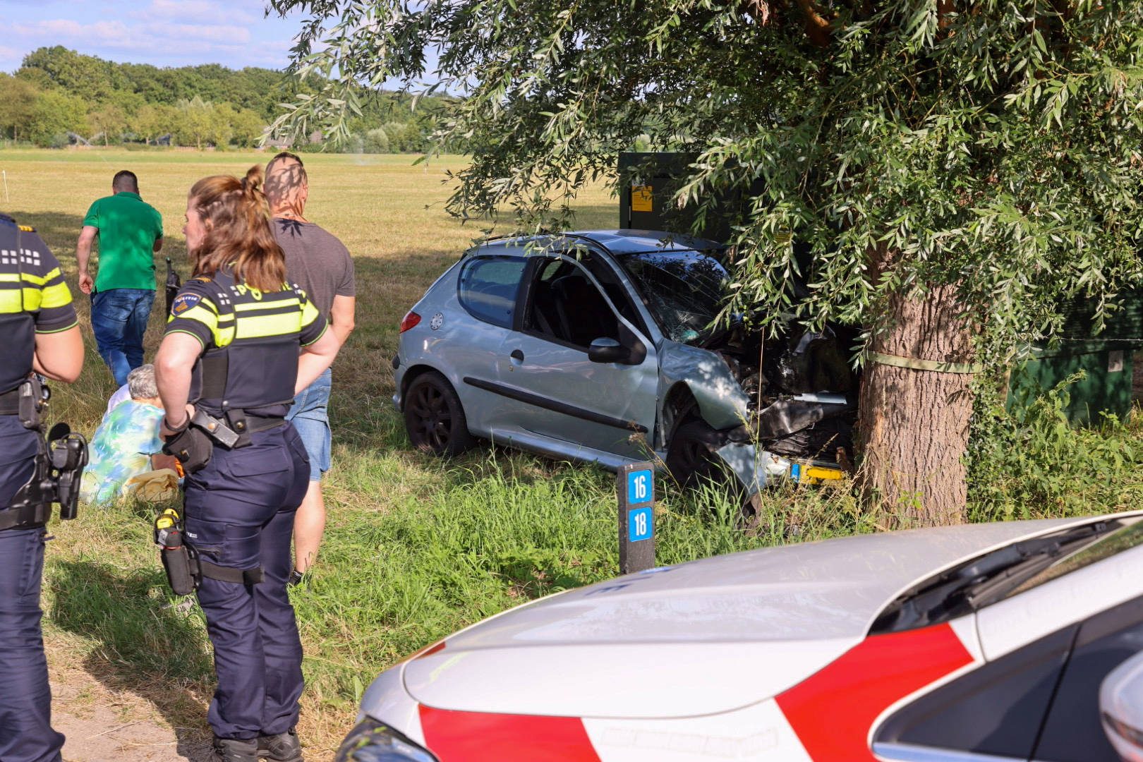 Automobilist botst hard tegen boom