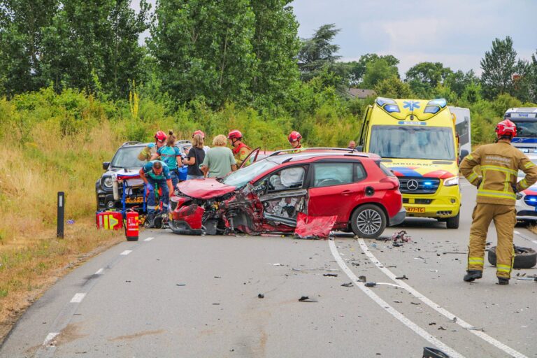 UPDATE: Wesp in auto leidt tot zwaar ongeval op provinciale weg