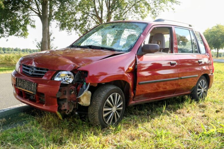 Automobilist ramt meerdere verkeersborden uit de grond