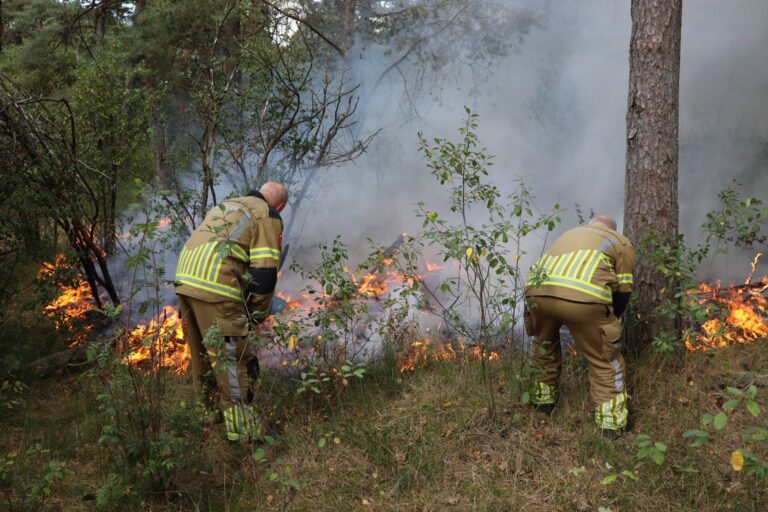 Flinke bosbrand midden in natuurgebied
