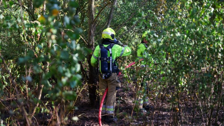 Grote natuurbrand met meerdere brandhaarden