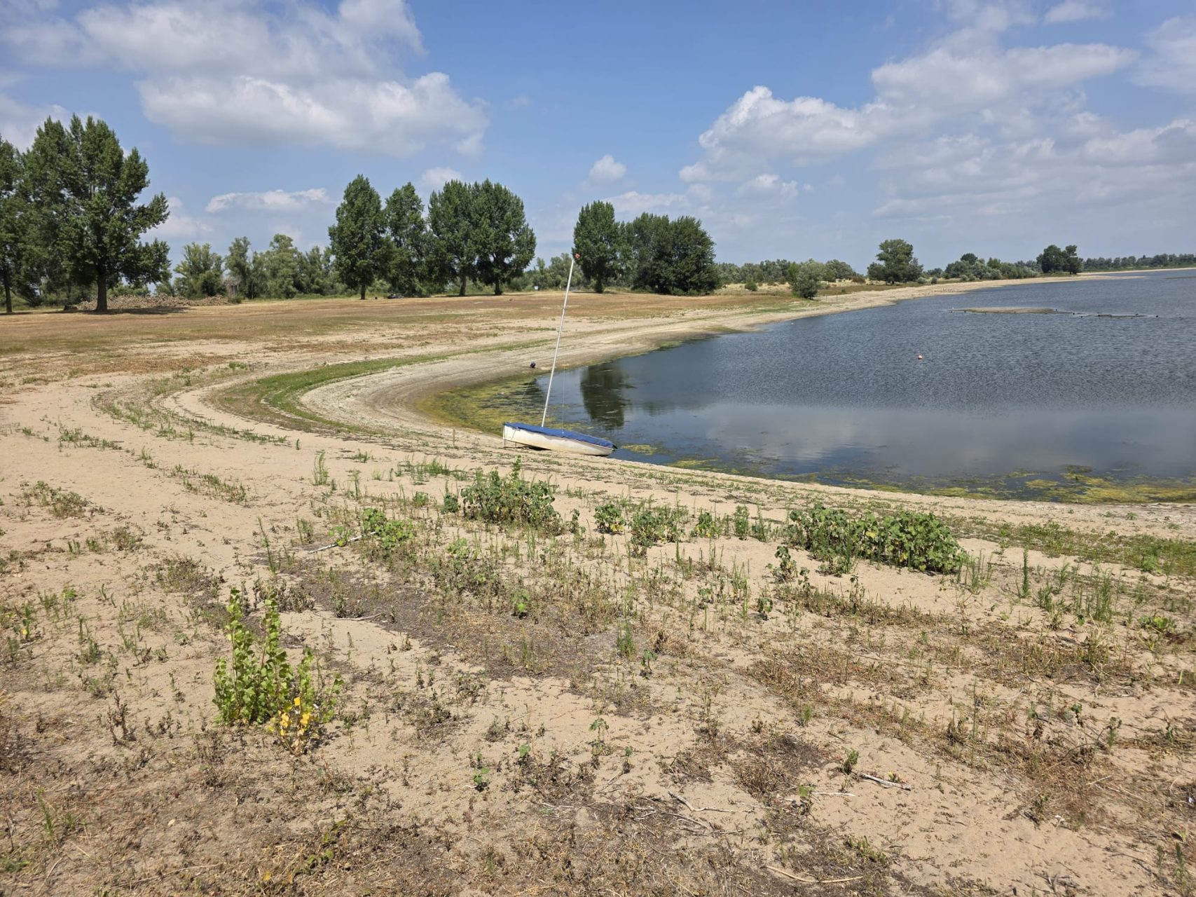 Lage waterstand Rijn legt rivierbodem bloot