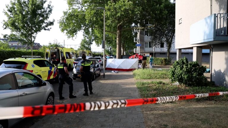 Persoon overleden na steekincident