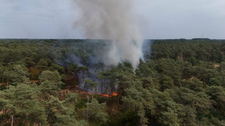 Grote inzet bij natuurbrand in bosgebied