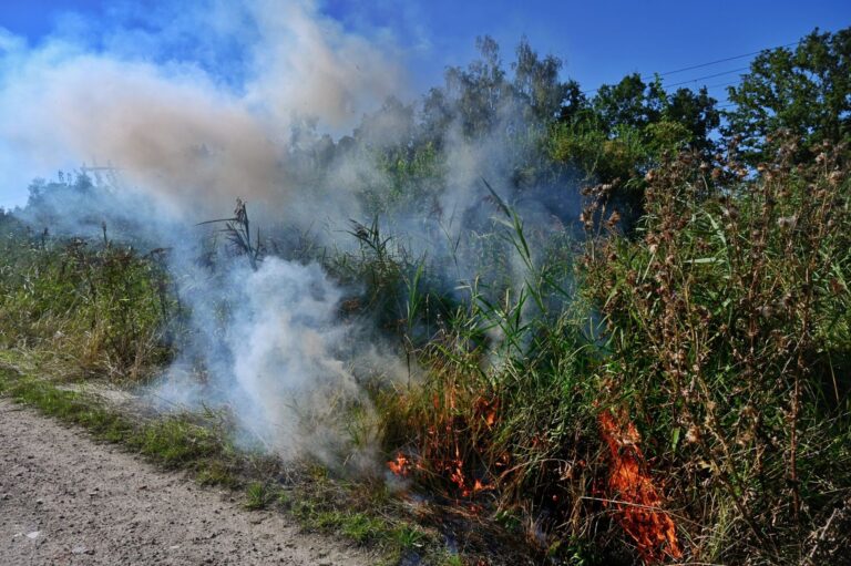 Treinen urenlang geschrapt na brand bij elektra op spoor