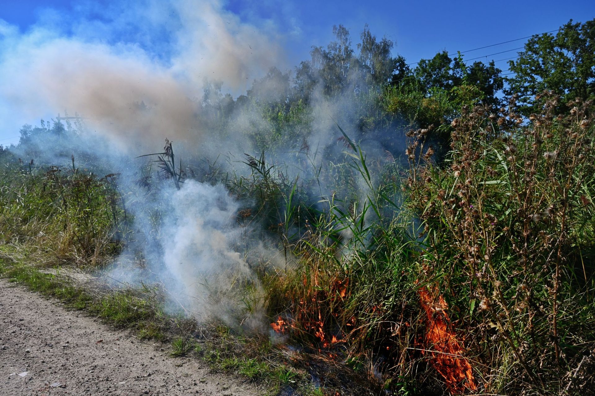 Treinen urenlang geschrapt na brand bij elektra op spoor