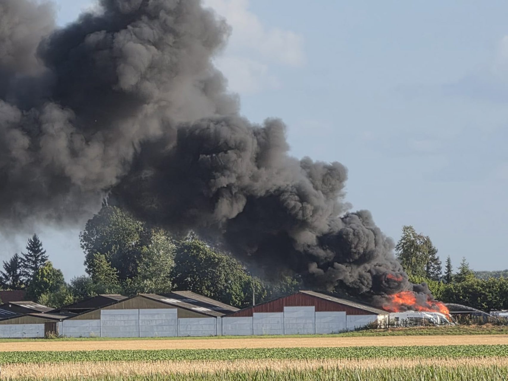Brandweer schaalt op naar GRIP 1 bij zeer grote brand