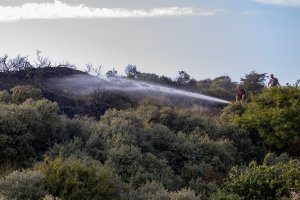 Camping deels ontruimd door duinbrand in Overveen