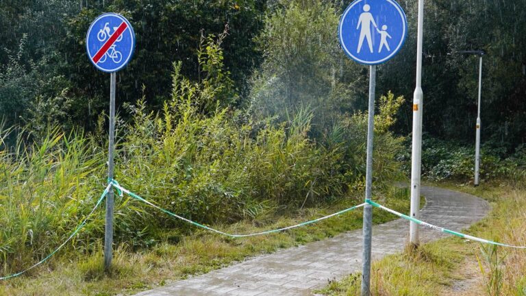 Botresten in bos blijken niet van vermiste te zijn