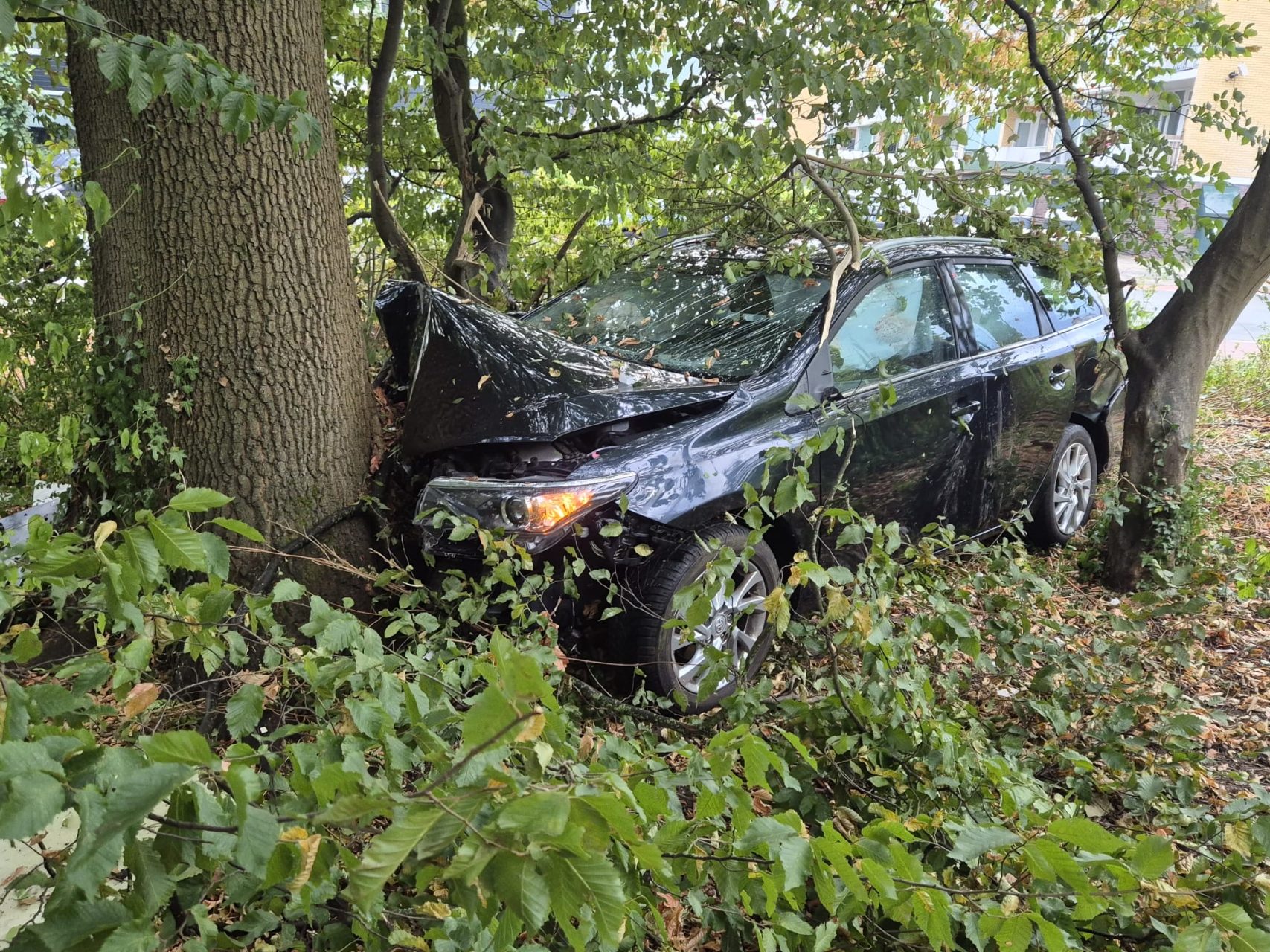 Taxi mist rotonde en knalt vol tegen boom, bestuurder gewond