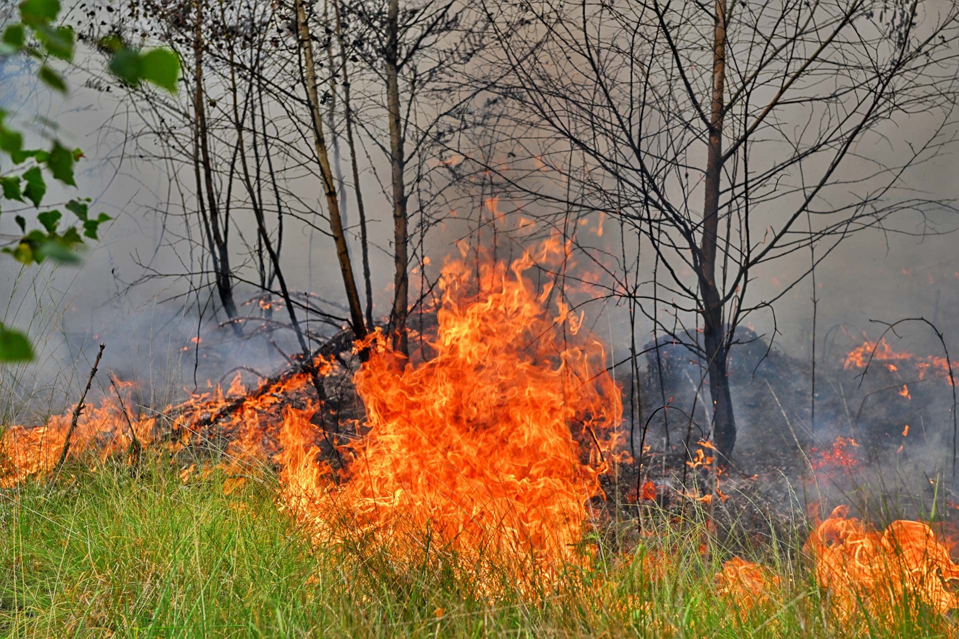 Natuurbrand vergt grote inzet van de brandweer