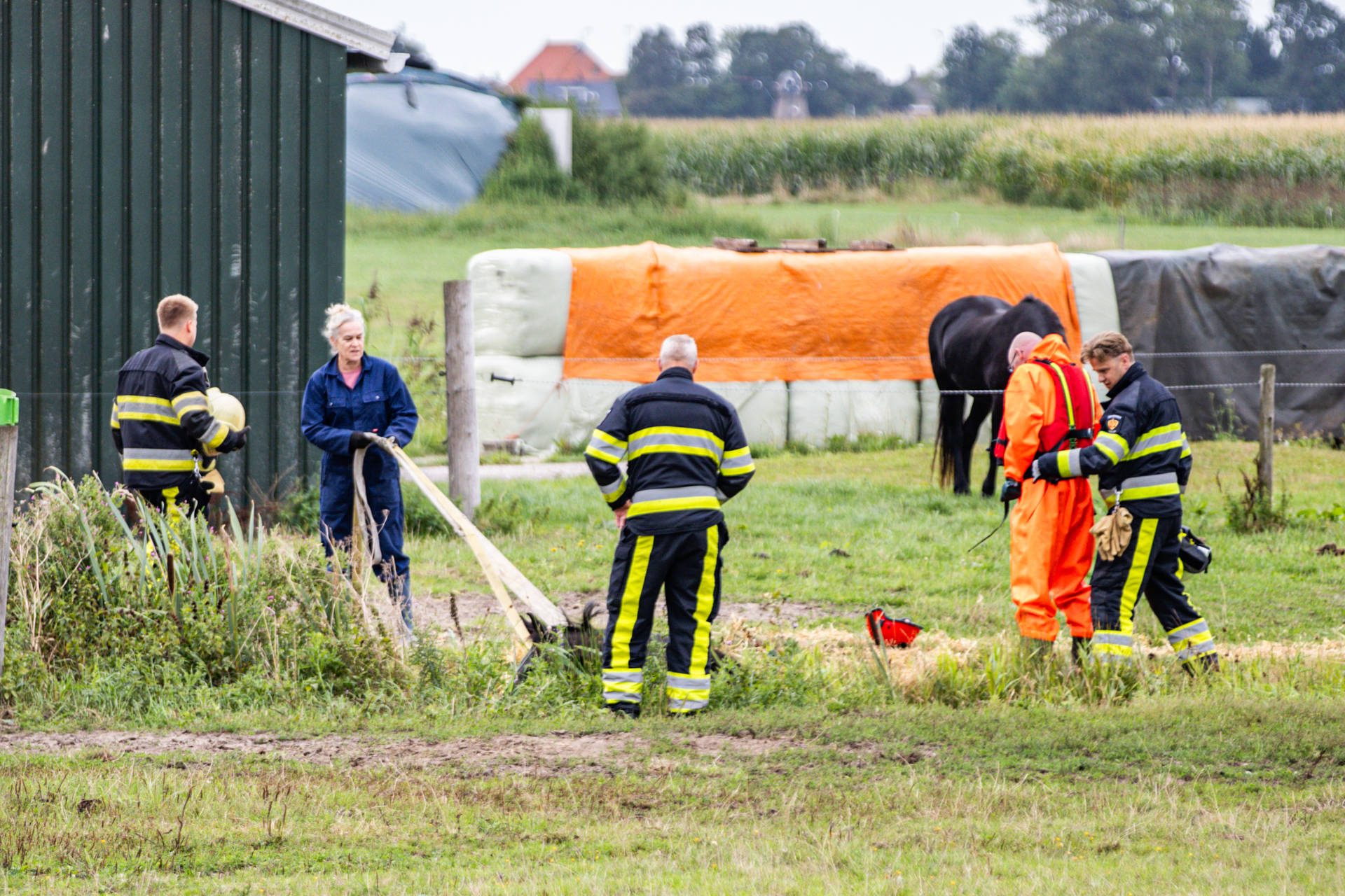NOORDERNIEUWS_Ricardo_Veen_Brandweer_haalt_paard_uit_sloot_in_Joure_6 - 112 Nederland