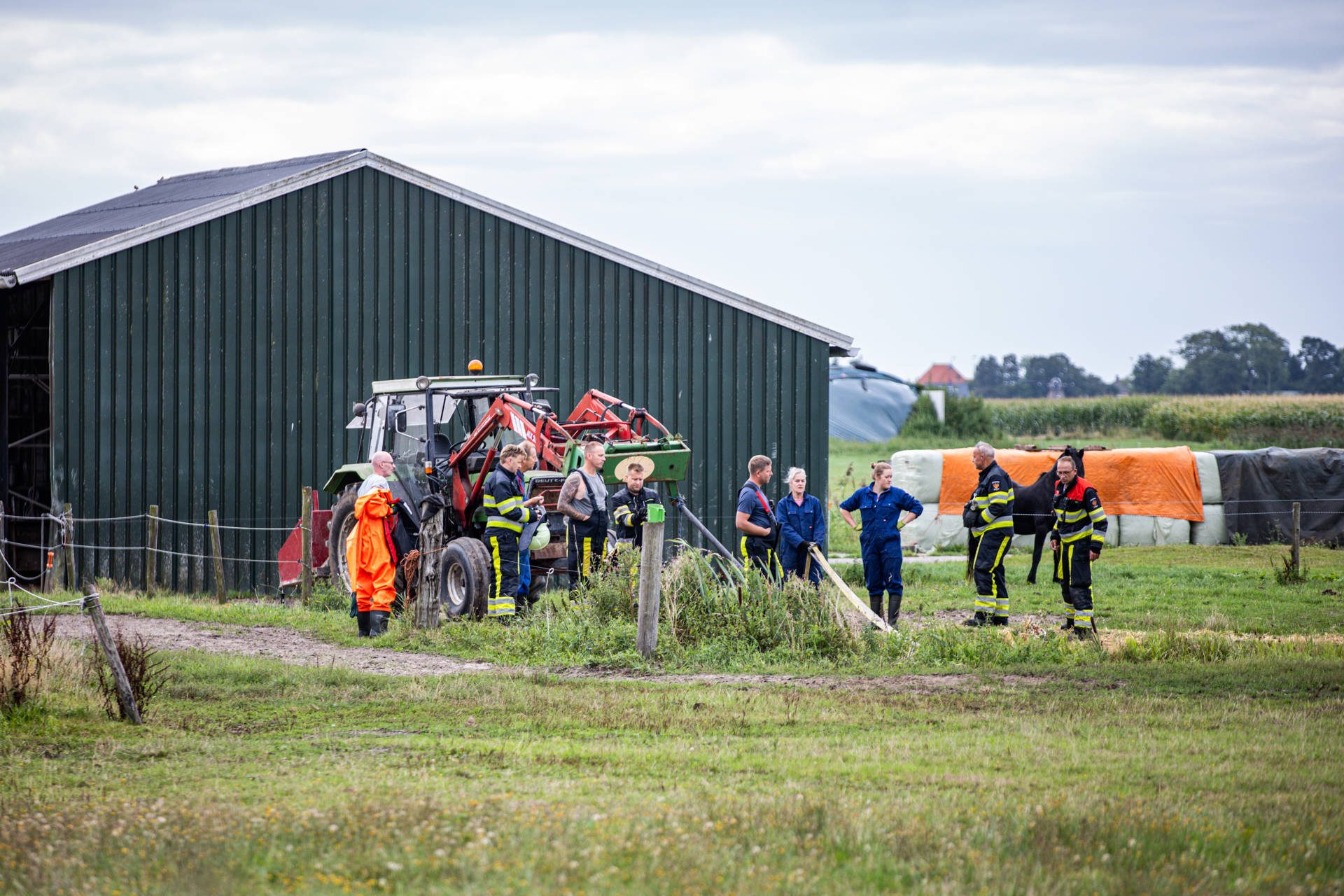 NOORDERNIEUWS_Ricardo_Veen_Brandweer_haalt_paard_uit_sloot_in_Joure_7 - 112 Nederland