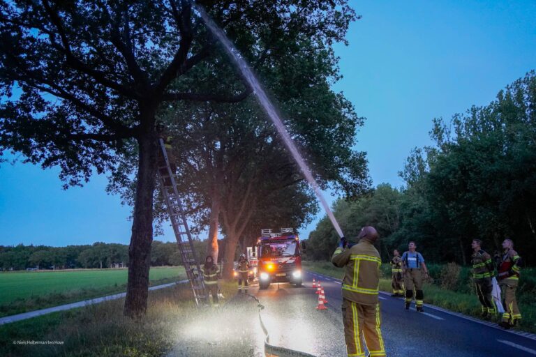 Kat blijft brandweer te slim af tijdens reddingspoging