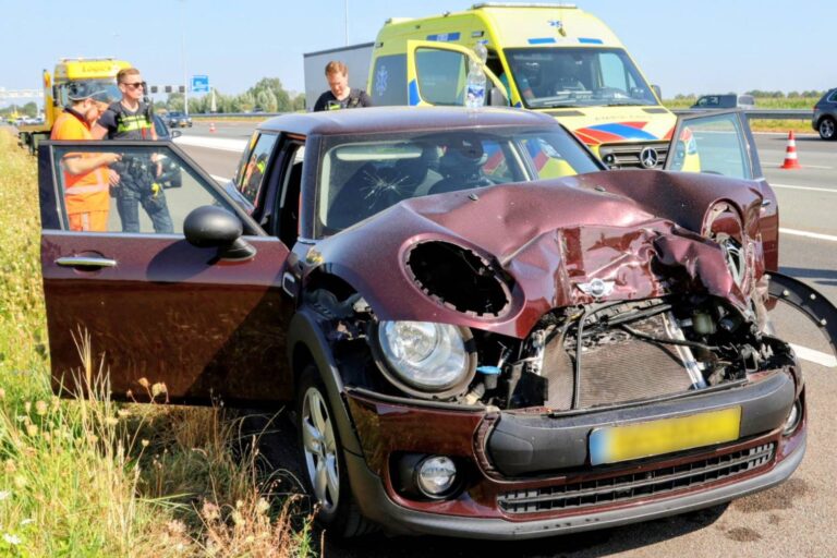 Auto rijdt achterop kooi aap van vrachtwagen op de snelweg