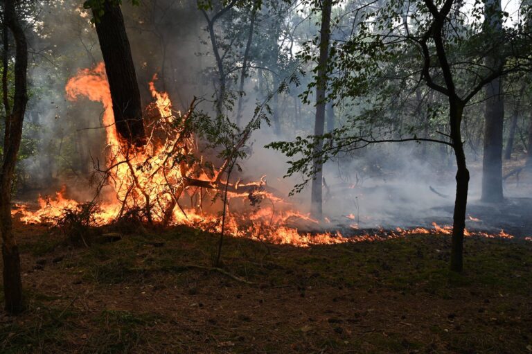 UPDATE: Drie natuurbranden tegelijk, mogelijk pyromaan actief