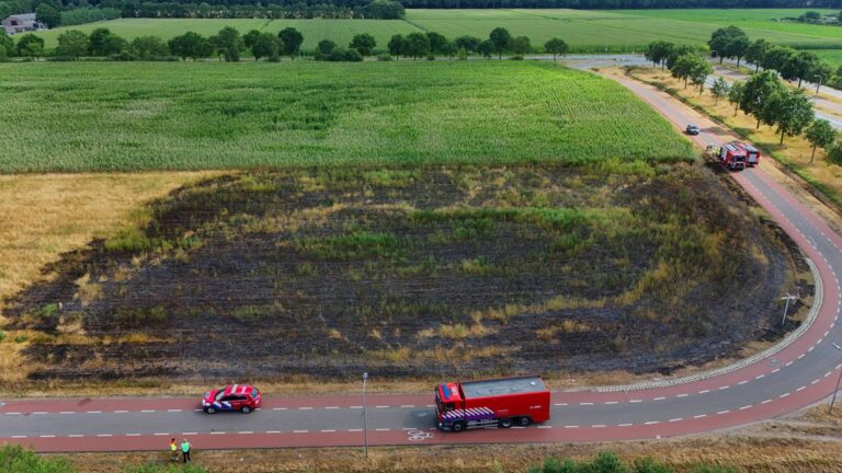 Groot stuk weiland zwartgeblakerd na brand