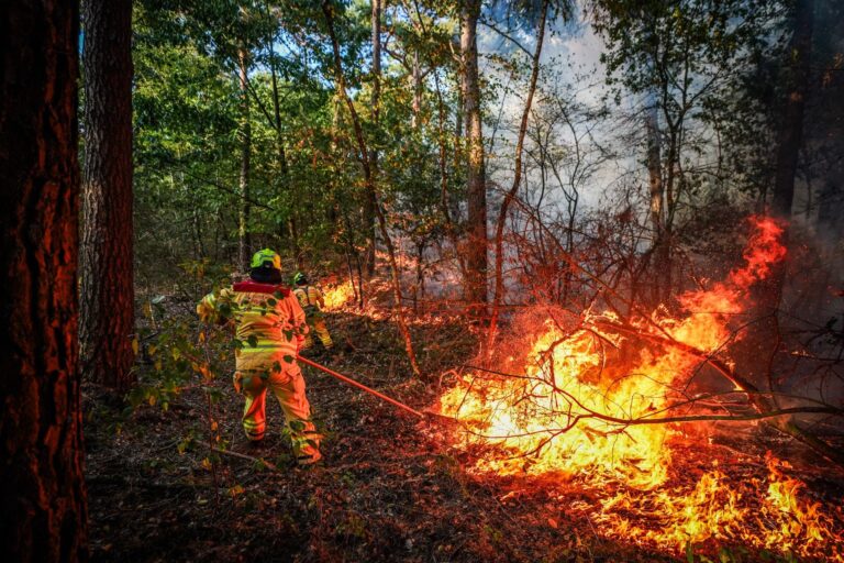 Natuurbrand Limburg breidt explosief uit naar 100 hectare, vuur nog niet bedwongen