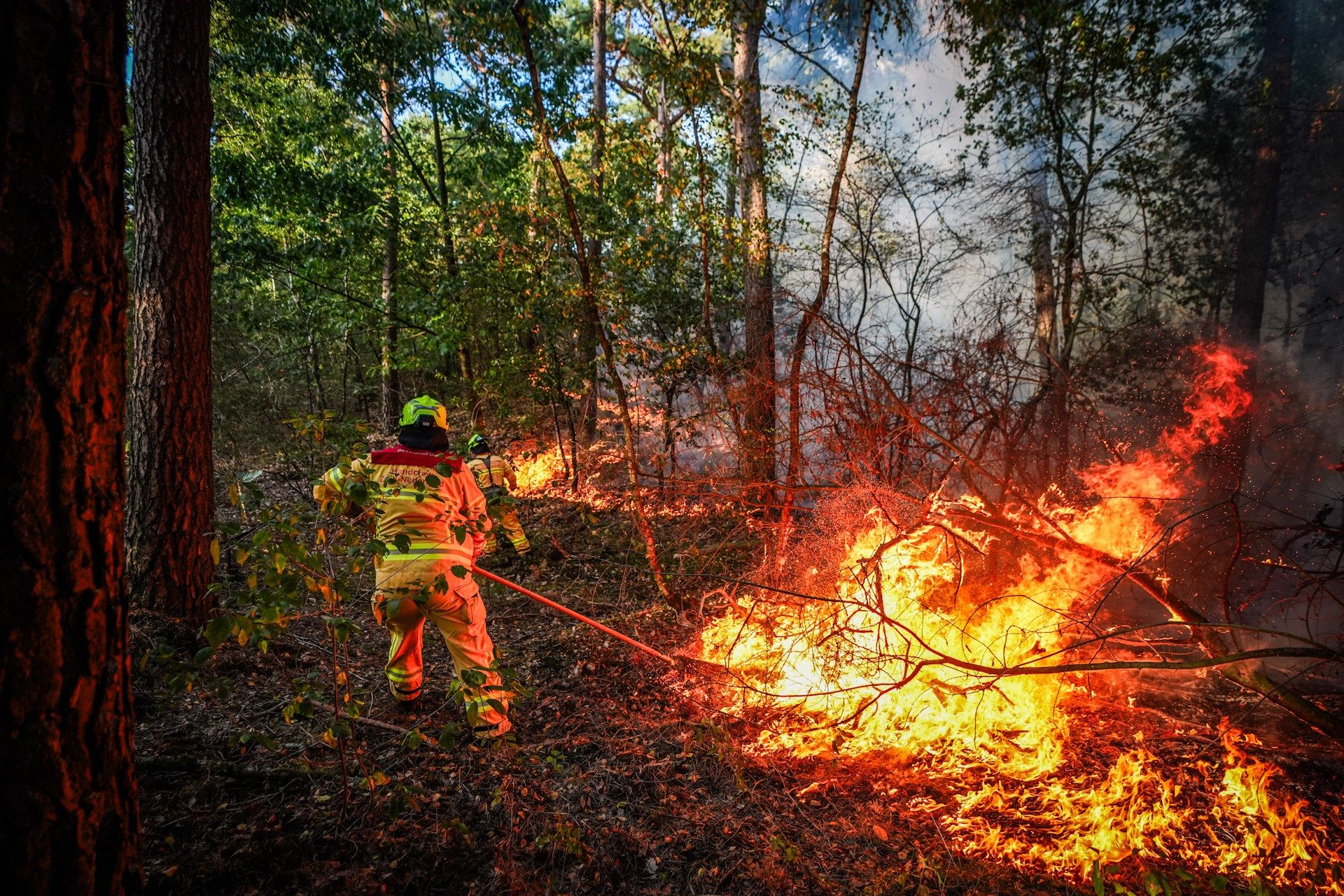 UPDATE: Handcrew uit Spanje direct ingezet bij zeer grote natuurbrand