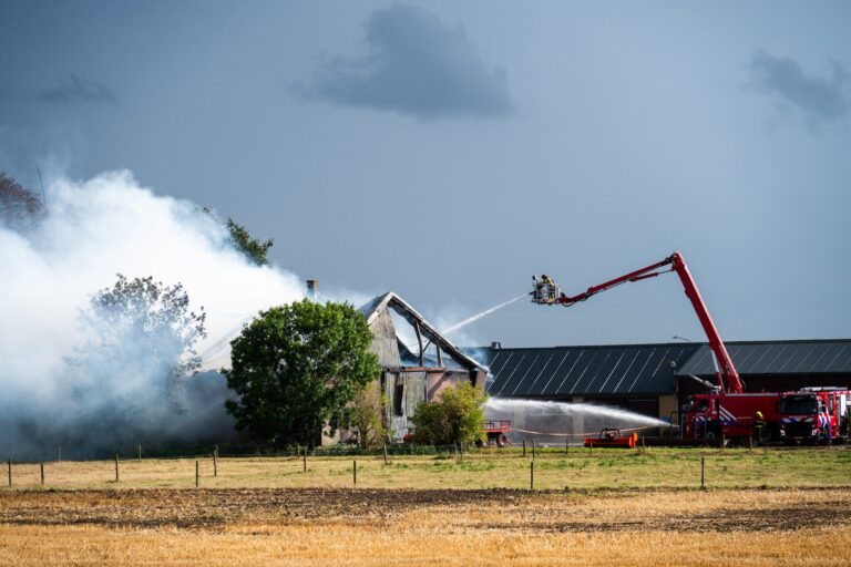 Brand vernietigt stal, vijf stieren komen om het leven