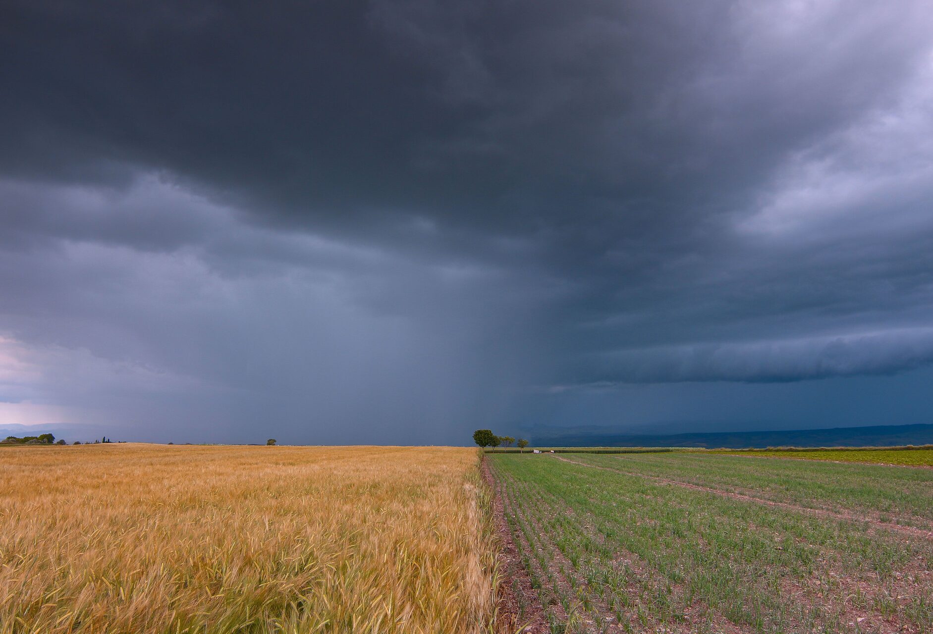 Code geel: hagel, waterhozen en zware windstoten verwacht boven Nederland