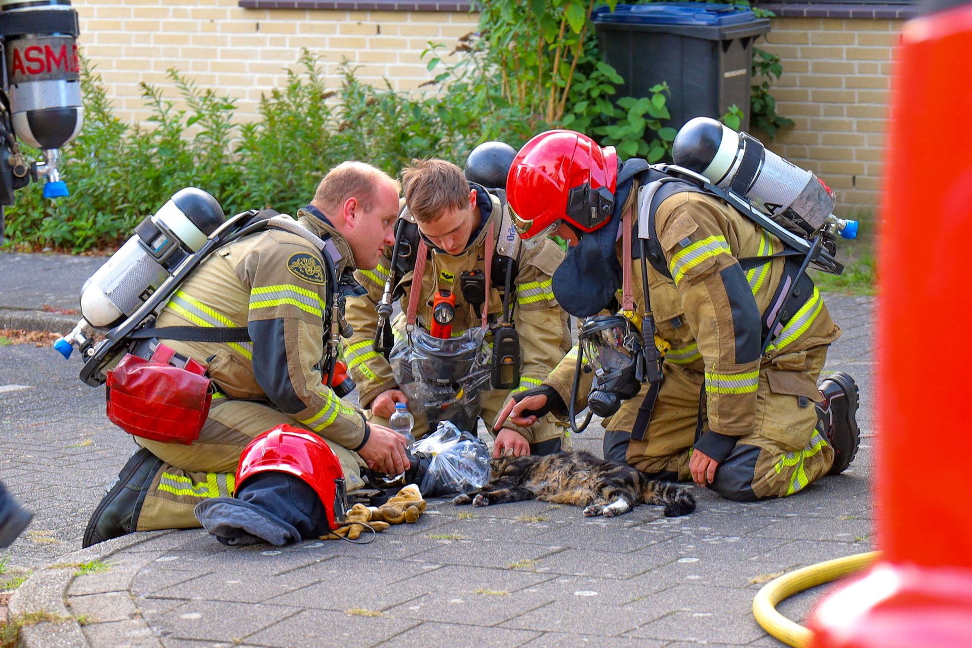 Brandweer redt kat uit brandende woning in Amstelveen