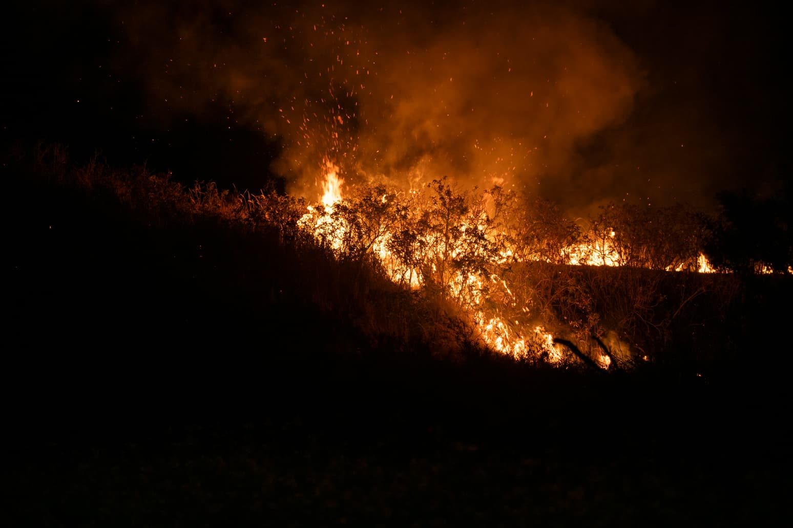 Brand gesticht in duinen in IJmuiden, vuur snel onder controle