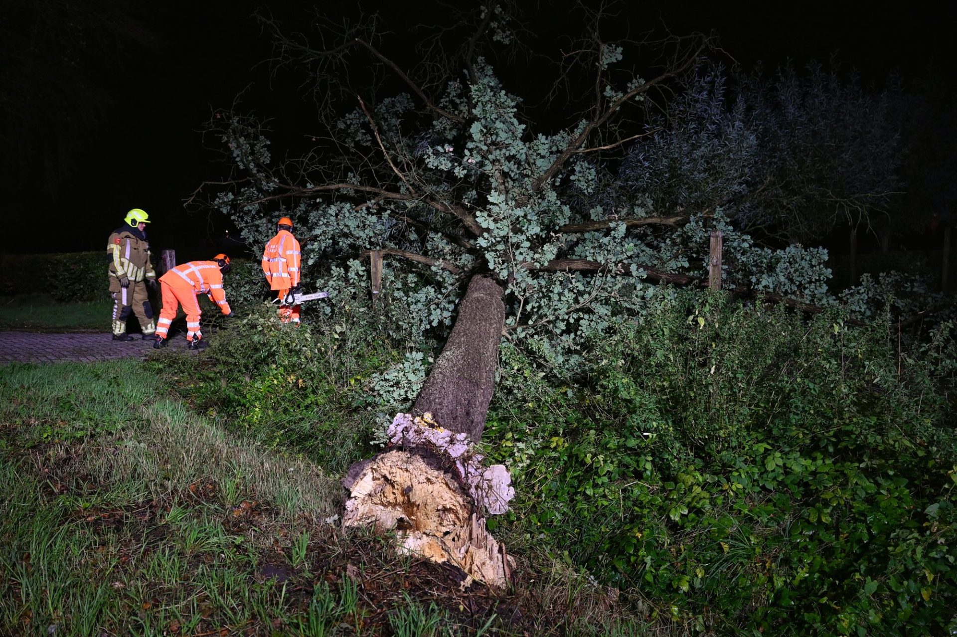 Brandweer druk met stormschades na stevige wind