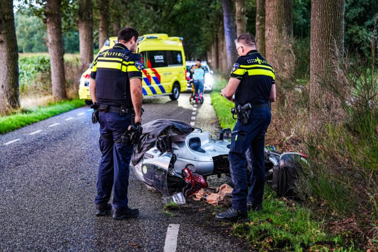 Ree overleden na botsing met motorrijder