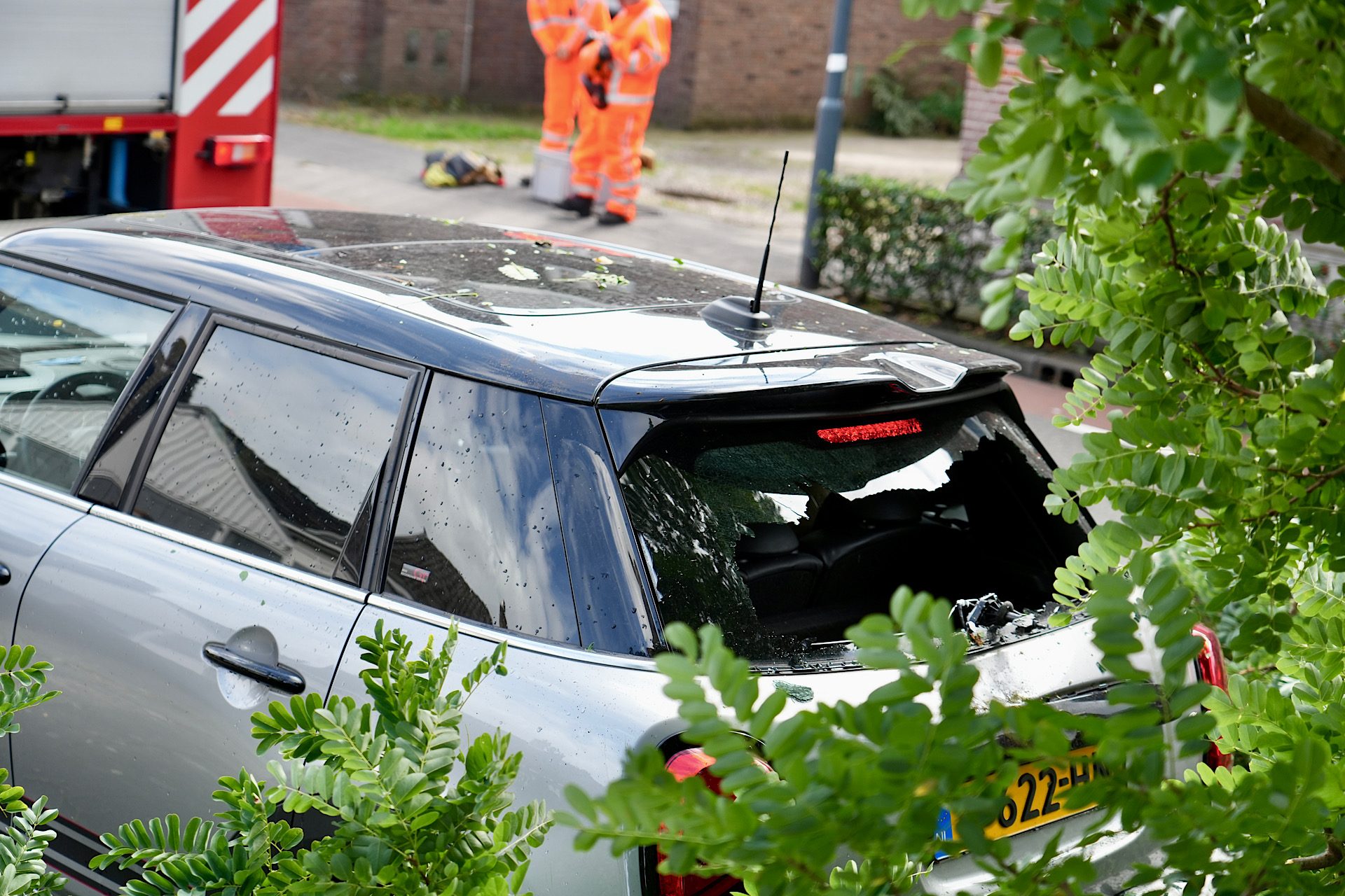 Tak breekt af en valt op auto, bestuurster komt met de schrik vrij