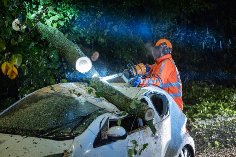 Boom valt op rijdende auto, bestuurder zwaargewond afgevoerd