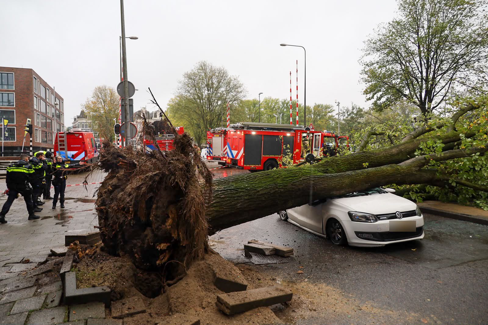 20261023_boom_02 - 112 Nederland
