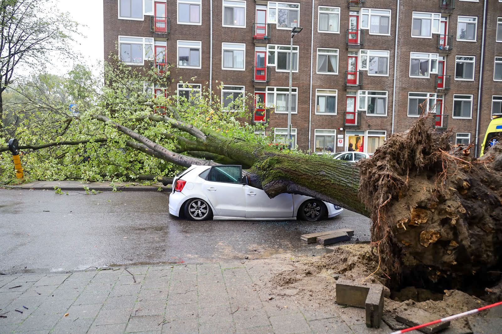20261023_boom_04 - 112 Nederland